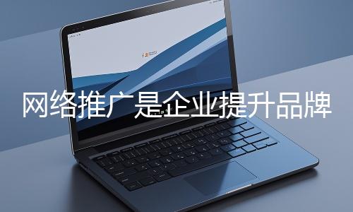 網(wǎng)絡(luò)推廣是企業(yè)提升品牌影響力、拓展市場(chǎng)的重要手段